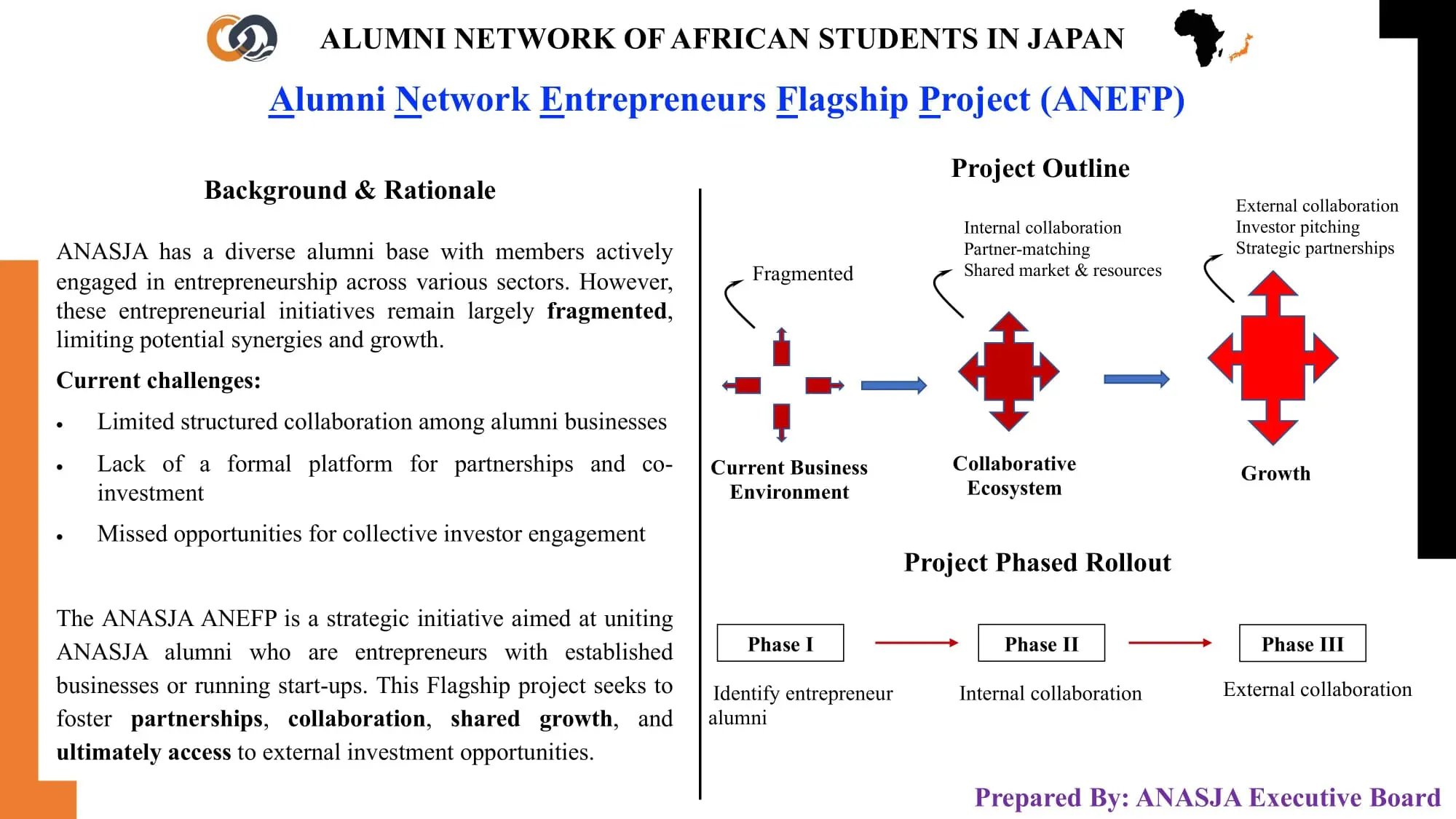 Alumni Network Entrepreneurs Flagship Project